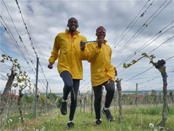 Training Im Weinberg